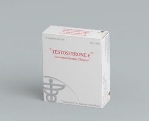 TESTOSTERONE E10 amps x 250mg Testo-Enanthate